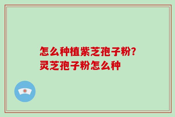 怎么种植紫芝孢子粉？灵芝孢子粉怎么种-第1张图片-破壁灵芝孢子粉研究指南