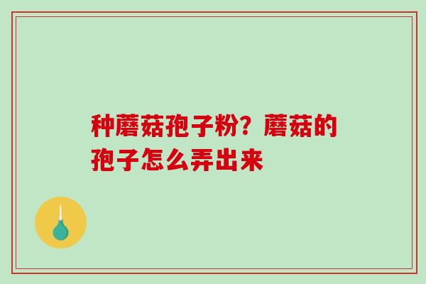 种蘑菇孢子粉?蘑菇的孢子怎么弄出来-第1张图片-破壁灵芝孢子粉研究指南 种蘑菇孢子粉?蘑菇的孢子怎么弄出来-第1张图片-破壁灵芝孢子粉研究指南