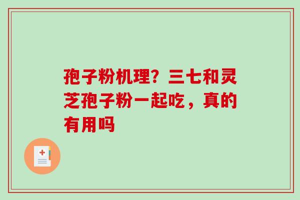 孢子粉机理?三七和灵芝孢子粉一起吃,真的有用吗-第1张图片-破壁灵芝孢子粉研究指南 孢子粉机理?三七和灵芝孢子粉一起吃,真的有用吗-第1张图片-破壁灵芝孢子粉研究指南