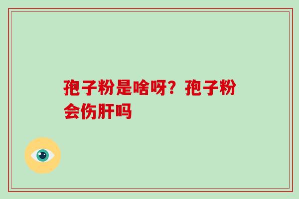 孢子粉是啥呀?孢子粉会伤肝吗-第1张图片-破壁灵芝孢子粉研究指南 孢子粉是啥呀?孢子粉会伤肝吗-第1张图片-破壁灵芝孢子粉研究指南