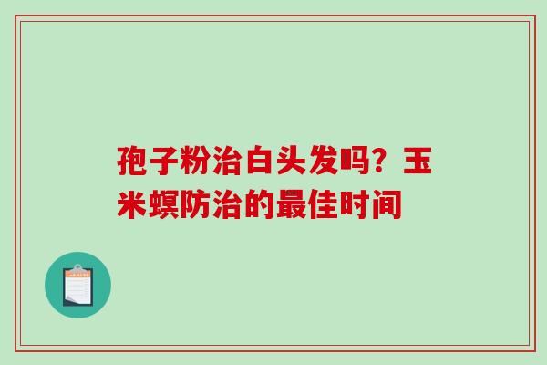 孢子粉治白头发吗?玉米螟防治的最佳时间-第1张图片-破壁灵芝孢子粉研究指南 孢子粉治白头发吗?玉米螟防治的最佳时间-第1张图片-破壁灵芝孢子粉研究指南