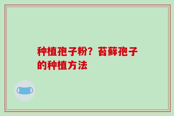种植孢子粉?苔藓孢子的种植方法-第1张图片-破壁灵芝孢子粉研究指南 种植孢子粉?苔藓孢子的种植方法-第1张图片-破壁灵芝孢子粉研究指南