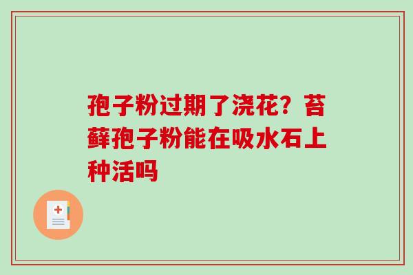 孢子粉过期了浇花?苔藓孢子粉能在吸水石上种活吗-第1张图片-破壁灵芝孢子粉研究指南 孢子粉过期了浇花?苔藓孢子粉能在吸水石上种活吗-第1张图片-破壁灵芝孢子粉研究指南