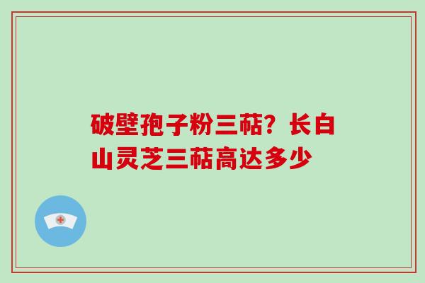 破壁孢子粉三萜?长白山灵芝三萜高达多少-第1张图片-破壁灵芝孢子粉研究指南 破壁孢子粉三萜?长白山灵芝三萜高达多少-第1张图片-破壁灵芝孢子粉研究指南