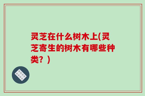 灵芝在什么树木上(灵芝寄生的树木有哪些种类?)-第1张图片-破壁灵芝孢子粉研究指南 灵芝在什么树木上(灵芝寄生的树木有哪些种类?)-第1张图片-破壁灵芝孢子粉研究指南