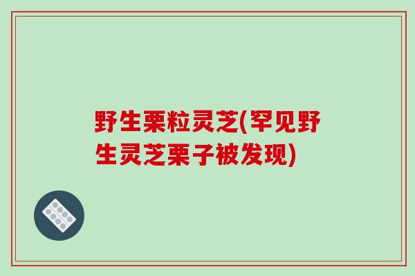 野生栗粒灵芝(罕见野生灵芝栗子被发现)-第1张图片-破壁灵芝孢子粉研究指南 野生栗粒灵芝(罕见野生灵芝栗子被发现)-第1张图片-破壁灵芝孢子粉研究指南