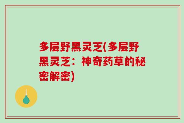 多层野黑灵芝(多层野黑灵芝:神奇药草的秘密解密)-第1张图片-破壁灵芝孢子粉研究指南 多层野黑灵芝(多层野黑灵芝:神奇药草的秘密解密)-第1张图片-破壁灵芝孢子粉研究指南