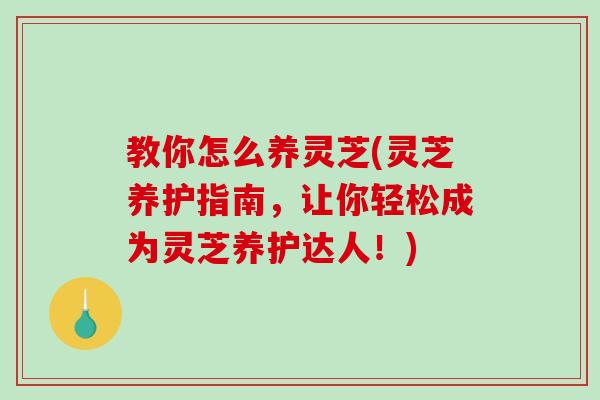 教你怎么养灵芝(灵芝养护指南,让你轻松成为灵芝养护达人!)-第1张图片-破壁灵芝孢子粉研究指南 教你怎么养灵芝(灵芝养护指南,让你轻松成为灵芝养护达人!)-第1张图片-破壁灵芝孢子粉研究指南