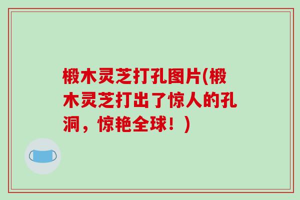椴木灵芝打孔图片(椴木灵芝打出了惊人的孔洞,惊艳全球!)-第1张图片-破壁灵芝孢子粉研究指南 椴木灵芝打孔图片(椴木灵芝打出了惊人的孔洞,惊艳全球!)-第1张图片-破壁灵芝孢子粉研究指南
