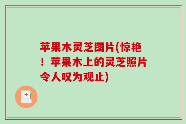 苹果木灵芝图片(惊艳！苹果木上的灵芝照片令人叹为观止)-第1张图片-破壁灵芝孢子粉研究指南