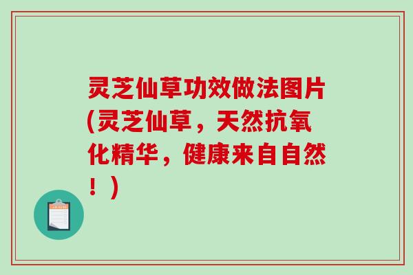 灵芝仙草功效做法图片(灵芝仙草,天然抗氧化精华,健康来自自然!)-第1张图片-破壁灵芝孢子粉研究指南 灵芝仙草功效做法图片(灵芝仙草,天然抗氧化精华,健康来自自然!)-第1张图片-破壁灵芝孢子粉研究指南