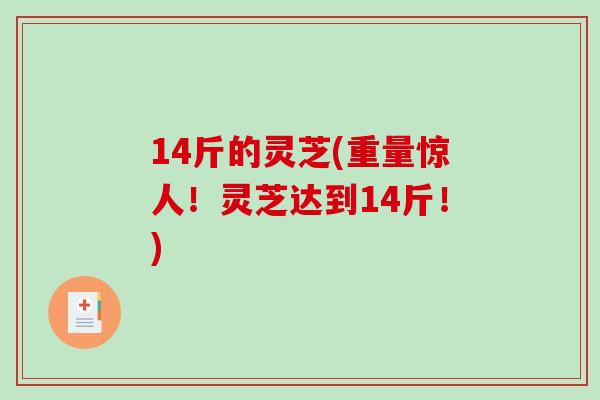 14斤的灵芝(重量惊人!灵芝达到14斤!)-第1张图片-破壁灵芝孢子粉研究指南 14斤的灵芝(重量惊人!灵芝达到14斤!)-第1张图片-破壁灵芝孢子粉研究指南