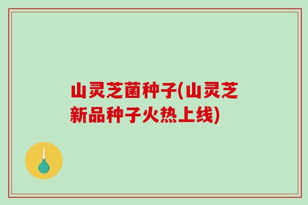 山灵芝菌种子(山灵芝新品种子火热上线)-第1张图片-破壁灵芝孢子粉研究指南 山灵芝菌种子(山灵芝新品种子火热上线)-第1张图片-破壁灵芝孢子粉研究指南