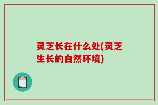 灵芝长在什么处(灵芝生长的自然环境)-第1张图片-破壁灵芝孢子粉研究指南 灵芝长在什么处(灵芝生长的自然环境)-第1张图片-破壁灵芝孢子粉研究指南