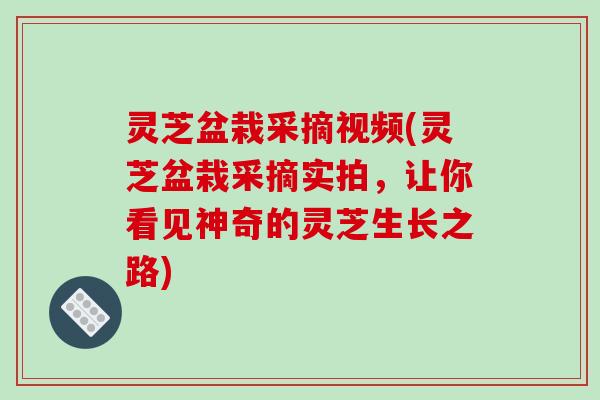 灵芝盆栽采摘视频(灵芝盆栽采摘实拍,让你看见神奇的灵芝生长之路)-第1张图片-破壁灵芝孢子粉研究指南 灵芝盆栽采摘视频(灵芝盆栽采摘实拍,让你看见神奇的灵芝生长之路)-第1张图片-破壁灵芝孢子粉研究指南