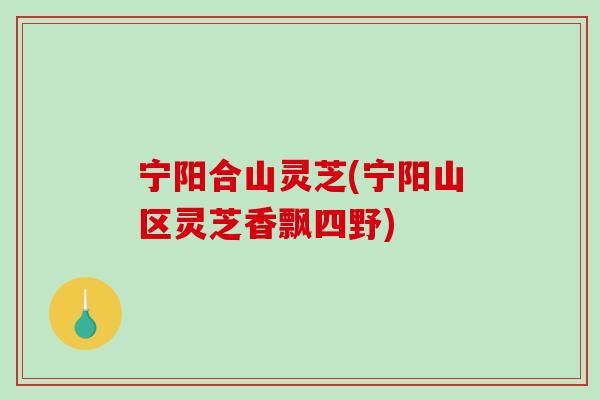 宁阳合山灵芝(宁阳山区灵芝香飘四野)-第1张图片-破壁灵芝孢子粉研究指南 宁阳合山灵芝(宁阳山区灵芝香飘四野)-第1张图片-破壁灵芝孢子粉研究指南