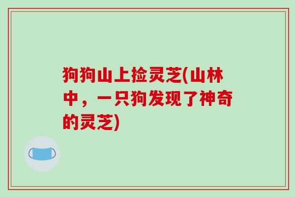 狗狗山上捡灵芝(山林中,一只狗发现了神奇的灵芝)-第1张图片-破壁灵芝孢子粉研究指南 狗狗山上捡灵芝(山林中,一只狗发现了神奇的灵芝)-第1张图片-破壁灵芝孢子粉研究指南
