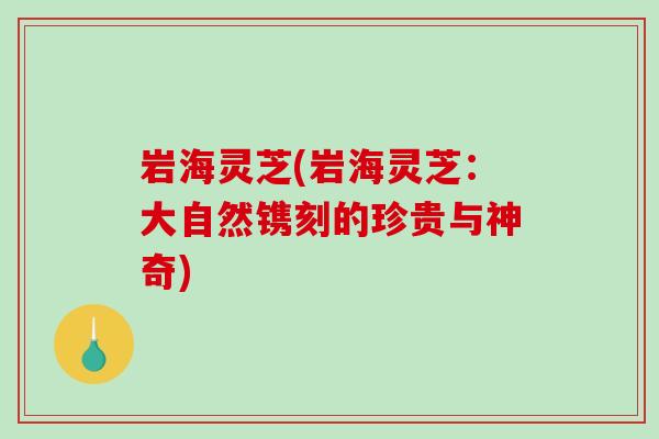 岩海灵芝(岩海灵芝:大自然镌刻的珍贵与神奇)-第1张图片-破壁灵芝孢子粉研究指南 岩海灵芝(岩海灵芝:大自然镌刻的珍贵与神奇)-第1张图片-破壁灵芝孢子粉研究指南