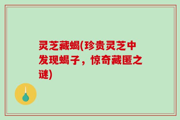 灵芝藏蝎(珍贵灵芝中发现蝎子，惊奇藏匿之谜)-第1张图片-破壁灵芝孢子粉研究指南