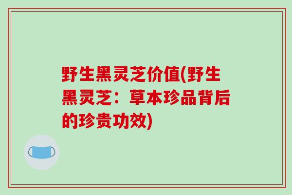 野生黑灵芝价值(野生黑灵芝:草本珍品背后的珍贵功效)-第1张图片-破壁灵芝孢子粉研究指南 野生黑灵芝价值(野生黑灵芝:草本珍品背后的珍贵功效)-第1张图片-破壁灵芝孢子粉研究指南