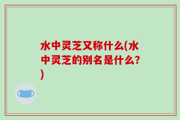 水中灵芝又称什么(水中灵芝的别名是什么?)-第1张图片-破壁灵芝孢子粉研究指南 水中灵芝又称什么(水中灵芝的别名是什么?)-第1张图片-破壁灵芝孢子粉研究指南