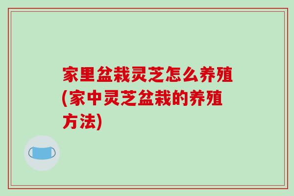 家里盆栽灵芝怎么养殖(家中灵芝盆栽的养殖方法)-第1张图片-破壁灵芝孢子粉研究指南 家里盆栽灵芝怎么养殖(家中灵芝盆栽的养殖方法)-第1张图片-破壁灵芝孢子粉研究指南