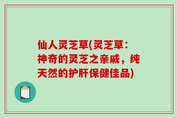 仙人灵芝草(灵芝草:神奇的灵芝之亲戚,纯天然的护肝保健佳品)-第1张图片-破壁灵芝孢子粉研究指南 仙人灵芝草(灵芝草:神奇的灵芝之亲戚,纯天然的护肝保健佳品)-第1张图片-破壁灵芝孢子粉研究指南