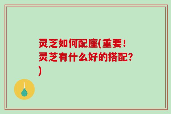 灵芝如何配座(重要!灵芝有什么好的搭配?)-第1张图片-破壁灵芝孢子粉研究指南 灵芝如何配座(重要!灵芝有什么好的搭配?)-第1张图片-破壁灵芝孢子粉研究指南
