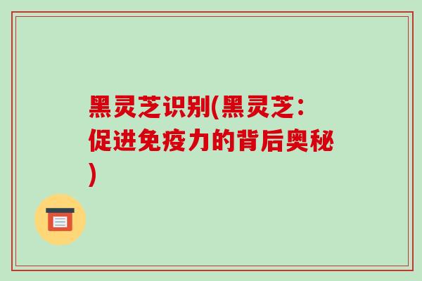 黑灵芝识别(黑灵芝：促进免疫力的背后奥秘)-第1张图片-破壁灵芝孢子粉研究指南