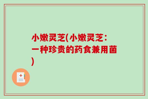 小嫩灵芝(小嫩灵芝:一种珍贵的药食兼用菌)-第1张图片-破壁灵芝孢子粉研究指南 小嫩灵芝(小嫩灵芝:一种珍贵的药食兼用菌)-第1张图片-破壁灵芝孢子粉研究指南