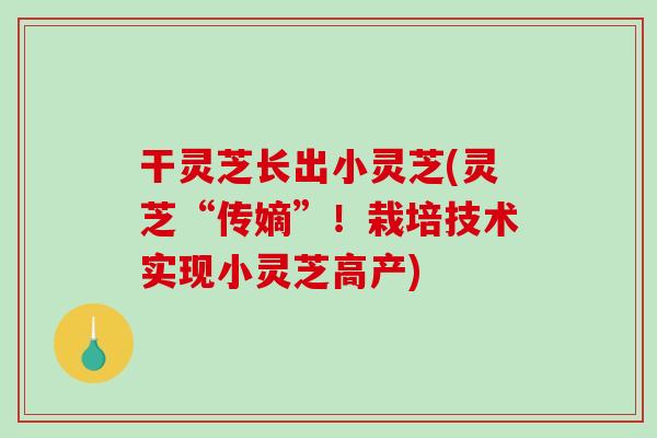干灵芝长出小灵芝(灵芝“传嫡”！栽培技术实现小灵芝高产)-第1张图片-破壁灵芝孢子粉研究指南