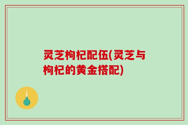 灵芝枸杞配伍(灵芝与枸杞的黄金搭配)-第1张图片-破壁灵芝孢子粉研究指南