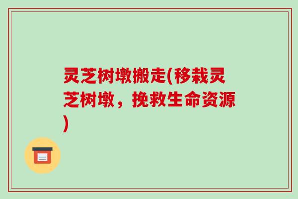 灵芝树墩搬走(移栽灵芝树墩,挽救生命资源)-第1张图片-破壁灵芝孢子粉研究指南 灵芝树墩搬走(移栽灵芝树墩,挽救生命资源)-第1张图片-破壁灵芝孢子粉研究指南