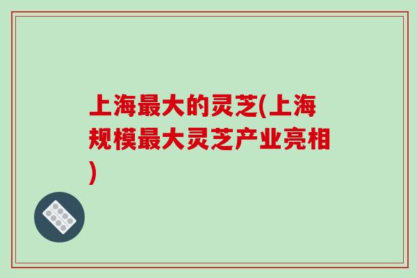 上海最大的灵芝(上海规模最大灵芝产业亮相)-第1张图片-破壁灵芝孢子粉研究指南