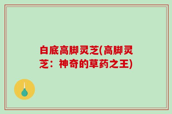 白底高脚灵芝(高脚灵芝:神奇的草药之王)-第1张图片-破壁灵芝孢子粉研究指南 白底高脚灵芝(高脚灵芝:神奇的草药之王)-第1张图片-破壁灵芝孢子粉研究指南