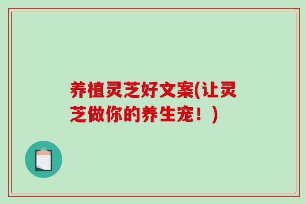 养植灵芝好文案(让灵芝做你的养生宠!)-第1张图片-破壁灵芝孢子粉研究指南 养植灵芝好文案(让灵芝做你的养生宠!)-第1张图片-破壁灵芝孢子粉研究指南
