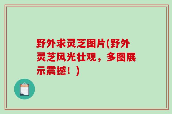 野外求灵芝图片(野外灵芝风光壮观,多图展示震撼!)-第1张图片-破壁灵芝孢子粉研究指南 野外求灵芝图片(野外灵芝风光壮观,多图展示震撼!)-第1张图片-破壁灵芝孢子粉研究指南