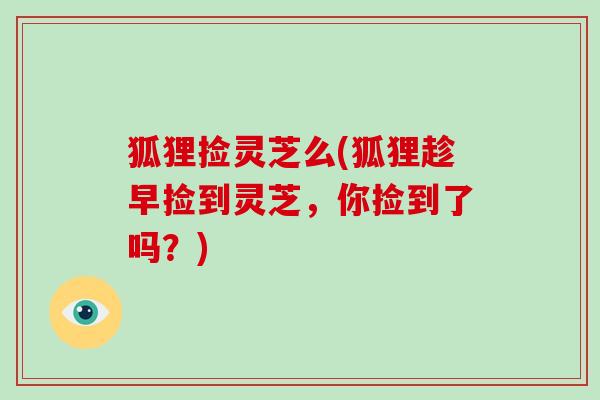 狐狸捡灵芝么(狐狸趁早捡到灵芝,你捡到了吗?)-第1张图片-破壁灵芝孢子粉研究指南 狐狸捡灵芝么(狐狸趁早捡到灵芝,你捡到了吗?)-第1张图片-破壁灵芝孢子粉研究指南
