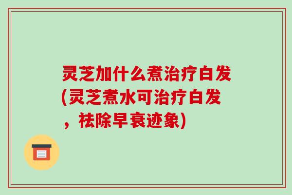 灵芝加什么煮治疗白发(灵芝煮水可治疗白发,祛除早衰迹象)-第1张图片-破壁灵芝孢子粉研究指南 灵芝加什么煮治疗白发(灵芝煮水可治疗白发,祛除早衰迹象)-第1张图片-破壁灵芝孢子粉研究指南