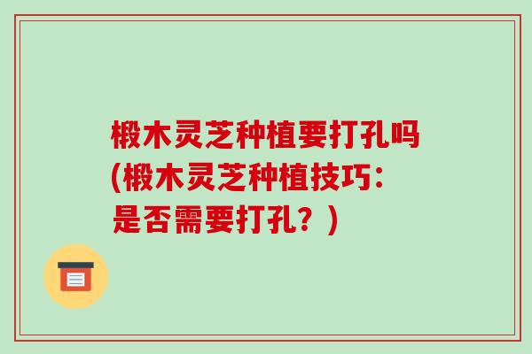 椴木灵芝种植要打孔吗(椴木灵芝种植技巧:是否需要打孔?)-第1张图片-破壁灵芝孢子粉研究指南 椴木灵芝种植要打孔吗(椴木灵芝种植技巧:是否需要打孔?)-第1张图片-破壁灵芝孢子粉研究指南