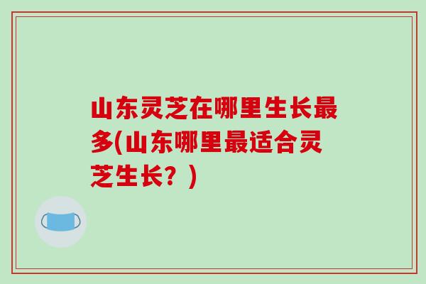 山东灵芝在哪里生长最多(山东哪里最适合灵芝生长?)-第1张图片-破壁灵芝孢子粉研究指南 山东灵芝在哪里生长最多(山东哪里最适合灵芝生长?)-第1张图片-破壁灵芝孢子粉研究指南