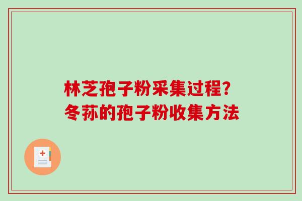 林芝孢子粉采集过程?冬荪的孢子粉收集方法-第1张图片-破壁灵芝孢子粉研究指南 林芝孢子粉采集过程?冬荪的孢子粉收集方法-第1张图片-破壁灵芝孢子粉研究指南