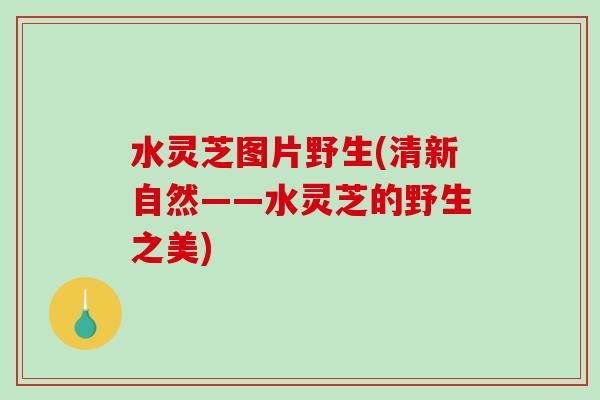 水灵芝图片野生(清新自然——水灵芝的野生之美)-第1张图片-破壁灵芝孢子粉研究指南 水灵芝图片野生(清新自然——水灵芝的野生之美)-第1张图片-破壁灵芝孢子粉研究指南
