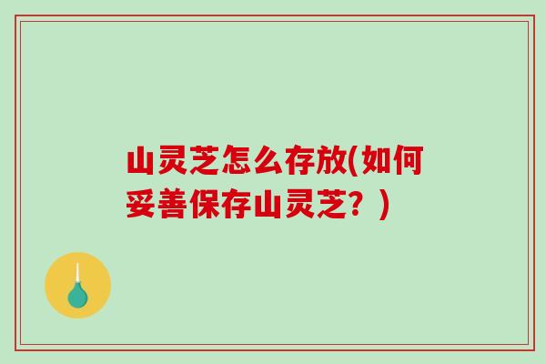 山灵芝怎么存放(如何妥善保存山灵芝?)-第1张图片-破壁灵芝孢子粉研究指南 山灵芝怎么存放(如何妥善保存山灵芝?)-第1张图片-破壁灵芝孢子粉研究指南