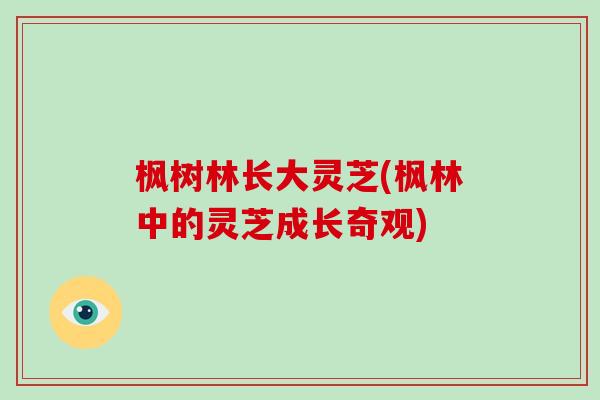 枫树林长大灵芝(枫林中的灵芝成长奇观)-第1张图片-破壁灵芝孢子粉研究指南