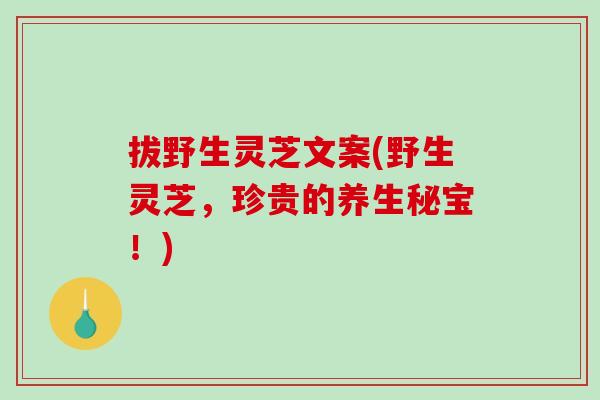 拔野生灵芝文案(野生灵芝,珍贵的养生秘宝!)-第1张图片-破壁灵芝孢子粉研究指南 拔野生灵芝文案(野生灵芝,珍贵的养生秘宝!)-第1张图片-破壁灵芝孢子粉研究指南