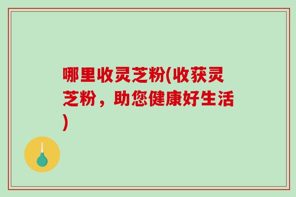 哪里收灵芝粉(收获灵芝粉,助您健康好生活)-第1张图片-破壁灵芝孢子粉研究指南 哪里收灵芝粉(收获灵芝粉,助您健康好生活)-第1张图片-破壁灵芝孢子粉研究指南