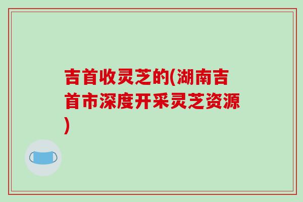 吉首收灵芝的(湖南吉首市深度开采灵芝资源)-第1张图片-破壁灵芝孢子粉研究指南