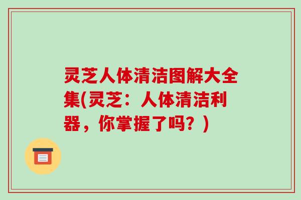 灵芝人体清洁图解大全集(灵芝:人体清洁利器,你掌握了吗?)-第1张图片-破壁灵芝孢子粉研究指南 灵芝人体清洁图解大全集(灵芝:人体清洁利器,你掌握了吗?)-第1张图片-破壁灵芝孢子粉研究指南