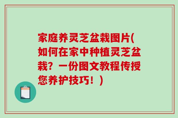 家庭养灵芝盆栽图片(如何在家中种植灵芝盆栽?一份图文教程传授您养护技巧!)-第1张图片-破壁灵芝孢子粉研究指南 家庭养灵芝盆栽图片(如何在家中种植灵芝盆栽?一份图文教程传授您养护技巧!)-第1张图片-破壁灵芝孢子粉研究指南